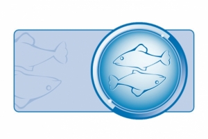 Horoskop na sierpień dla Ryb