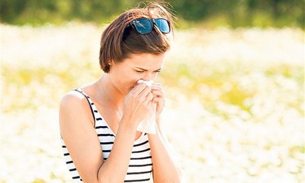 Kalendarz pyleń – gdy, alergia atakuje!