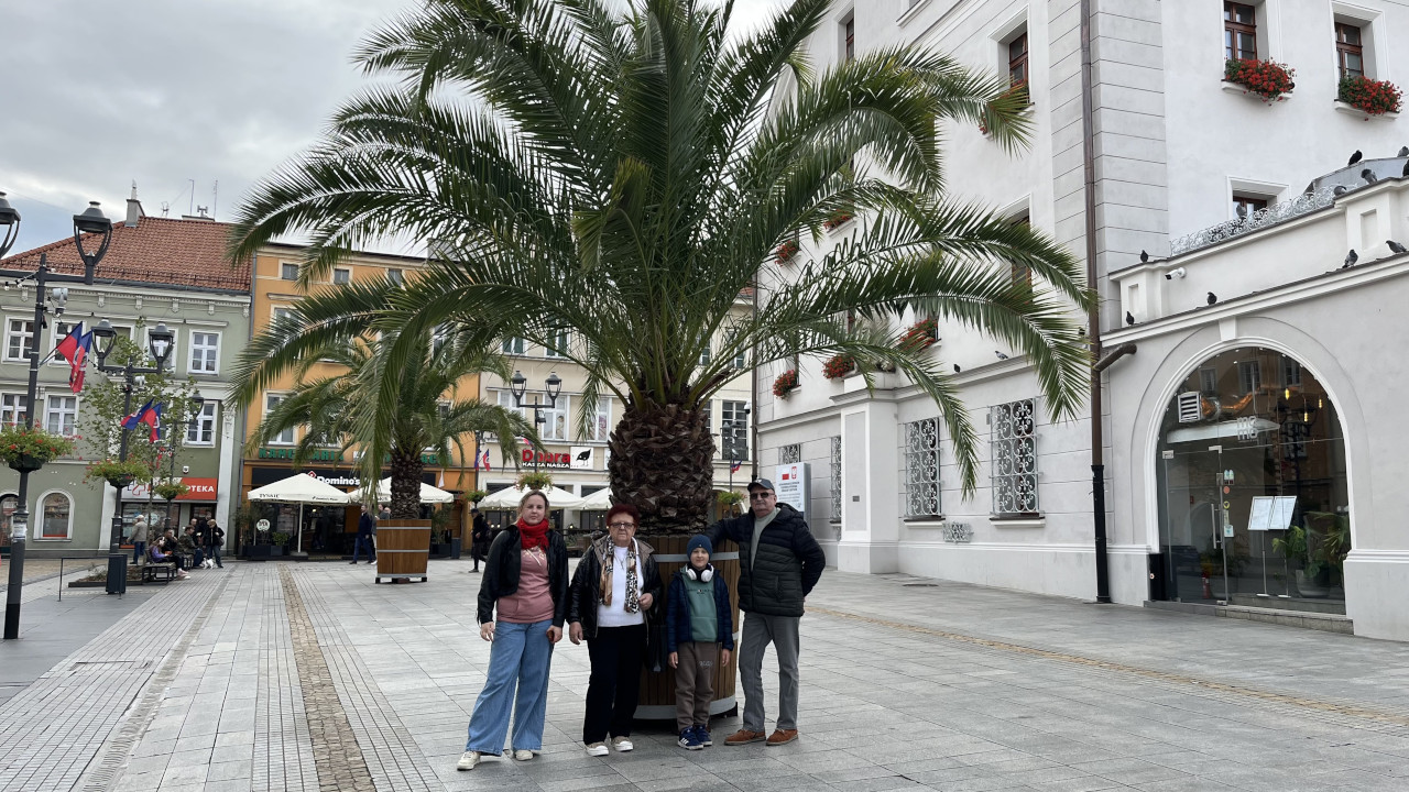 pokoje Gliwice Gliwicki Rynek z palmami miejsce spotkań mieszkańców i turystów