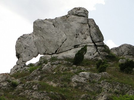 Olsztyn szlak Orlich Gniazd