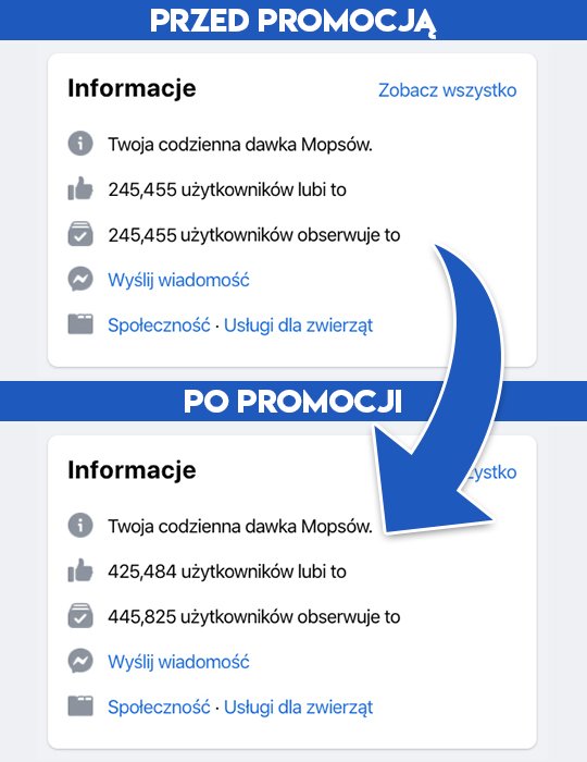 lajki na fanpage od wypromowani