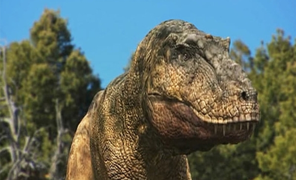 W świecie dinozaurów: Nieustraszony Tyranozaur. +Video