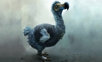 Dlaczego Dodo wymarło? +Video