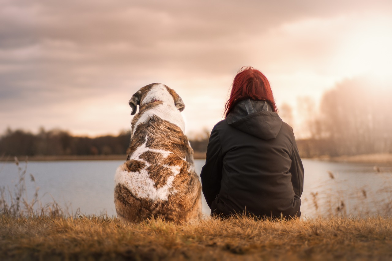 Do you love dogs? In this house, you can live with them