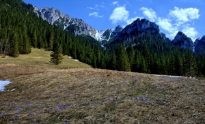 Kościelisko