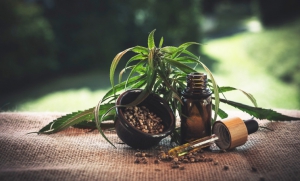 CBD Öl kaufen