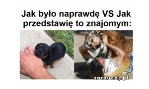 Śmieszne memy