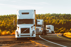 Transport- und Speditionsfirma bietet TRANS-EUROLOGIS
