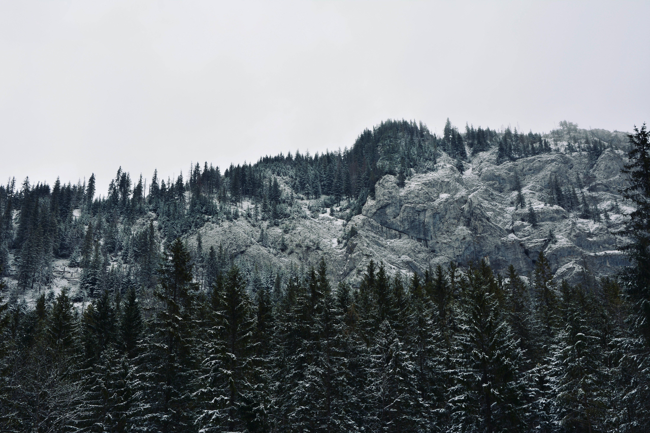 Aries Zakopane - luksusowy wypoczynek w górach