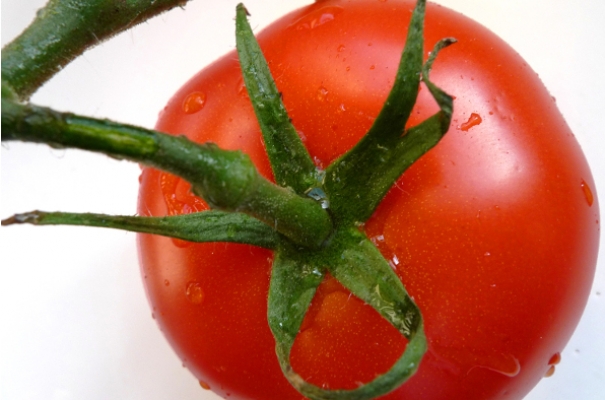 Warzywna gwiazda – pomidor!