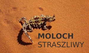 Moloch straszliwy