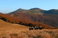 Szlak kulinarny "Podkarpackie smaki"