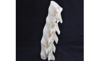 In welchen Bereichen kann der 3D-Druck in Zukunft eingesetzt werden?