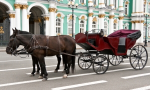 Jaki środek transportu wybrać ?