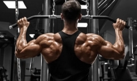 Bodybuilding Peptides: Are They Safer and Better Than Steroids?