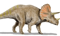 Odkurzamy dinozaury: Triceratops. + Video