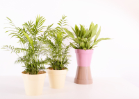 plastic plant manufacturers