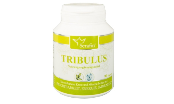 Tribulus Kapseln – Eigenschaften und Wirkungsweise