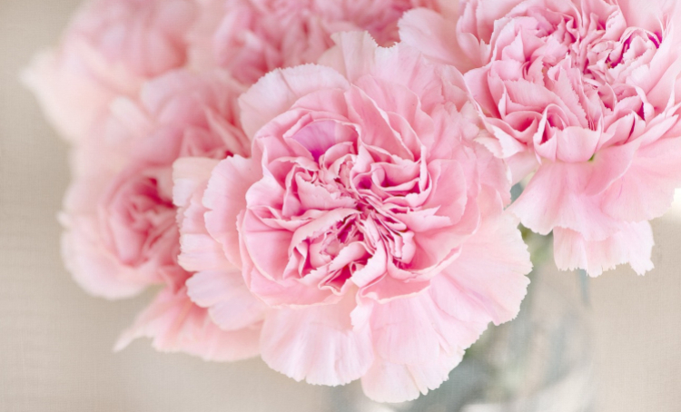 flower bouquet